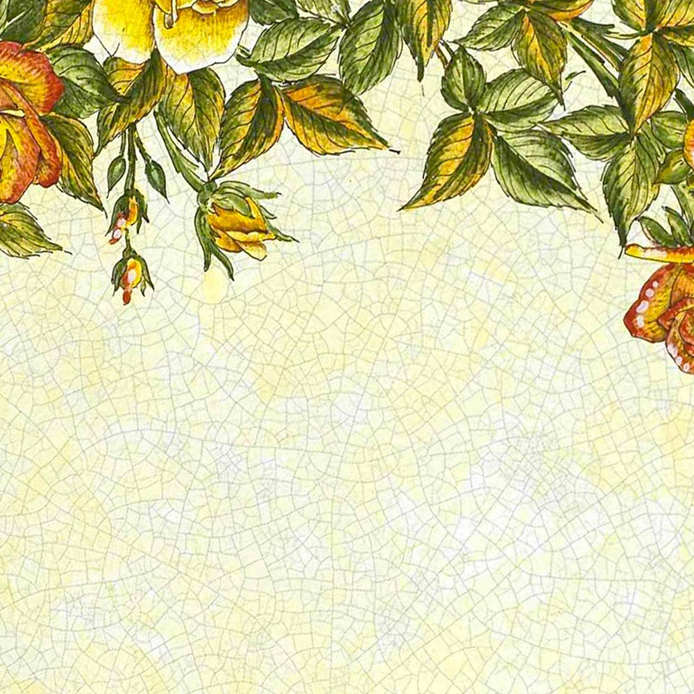 Rosa Pattern