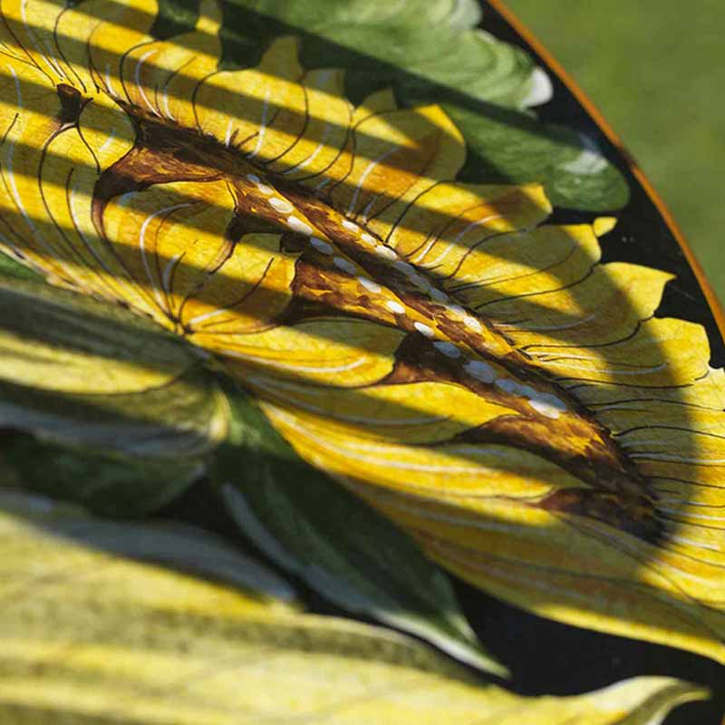 Close up of table top in design Girasole in garden